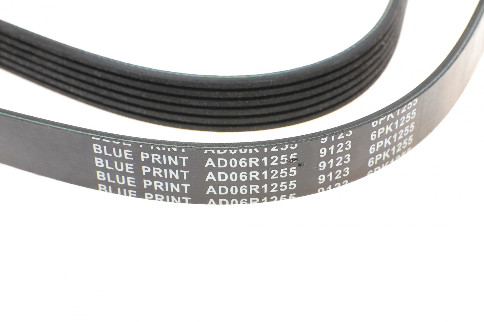 AD06R1255 BLUE PRINT